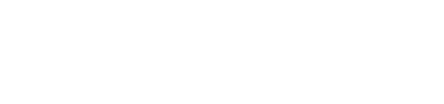 CarPolish匠